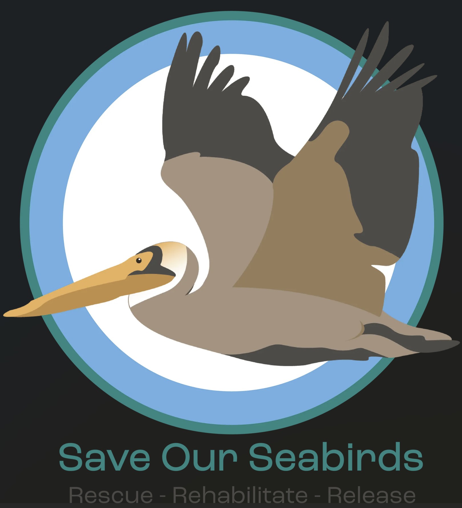 Things To Do Save Our Seabirds